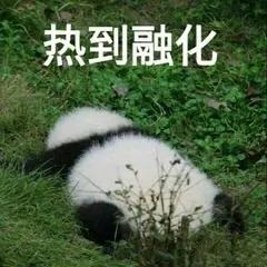 ZETA轮胎|防扎轮胎|防扎防爆轮胎|自修复轮胎|安全轮胎